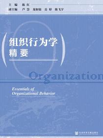 组织行为学精要