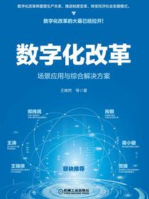 数字化改革：场景应用与综合解决方案