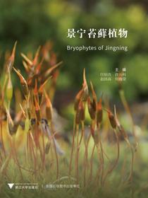 景宁苔藓植物