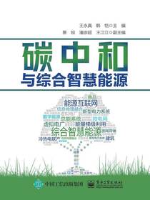 碳中和与综合智慧能源