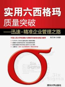 实用六西格玛质量突破——迅速—精准企业管理之路