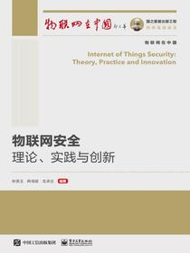 物联网安全：理论、实践与创新