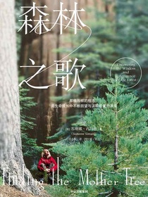森林之歌