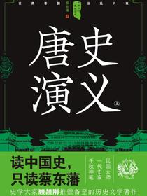 中国历代通俗演义：唐史演义（上）（再版）