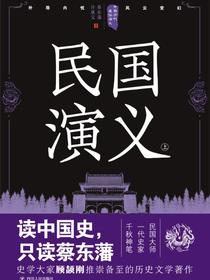 中国历代通俗演义：民国演义（上）（再版）