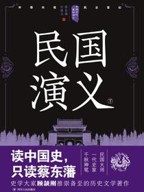 中国历代通俗演义：民国演义（下）（再版）