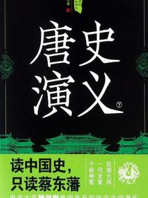 中国历代通俗演义：唐史演义（下）（再版）