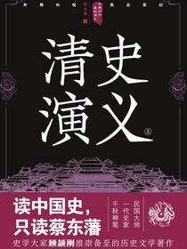 中国历代通俗演义：清史演义（上）（再版）