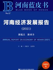 河南经济发展报告（2021）：新起点新动力（河南蓝皮书）