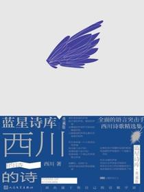 西川的诗（蓝星诗库·典藏版）