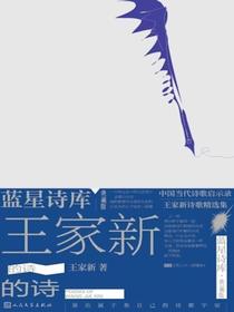 王家新的诗（蓝星诗库·典藏版）