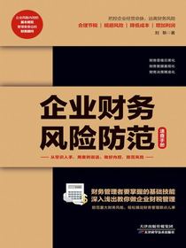 企业财务风险防范速查手册