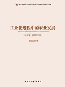 工业化进程中的农业发展