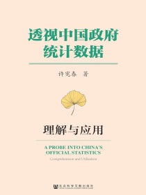 透视中国政府统计数据：理解与应用