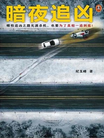 暗夜追凶