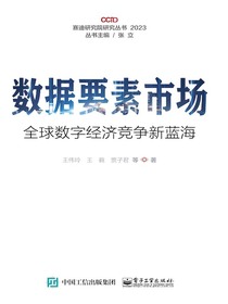 数据要素市场：全球数字经济竞争新蓝海