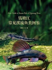 钱塘江常见溪流鱼类图鉴