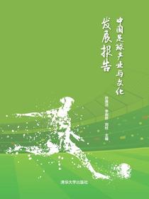 中国足球产业与文化发展报告