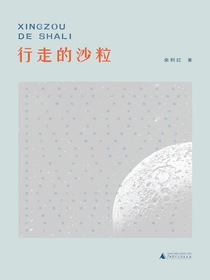 行走的沙粒