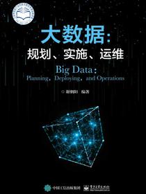 大数据：规划、实施、运维