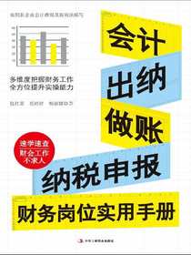 会计、出纳、做账、纳税申报