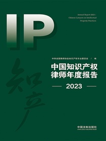 中国知识产权律师年度报告（2023）