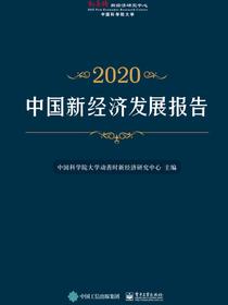 中国新经济发展报告2020
