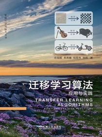 迁移学习算法：应用与实践