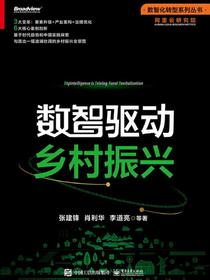 数智驱动乡村振兴
