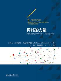 网络的力量：网络空间中的犯罪、冲突与安全