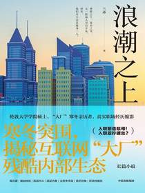 浪潮之上
