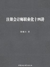 注册会计师职业化十四讲