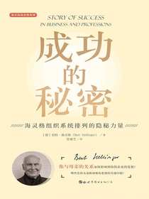 成功的秘密：海灵格组织系统排列的隐秘力量
