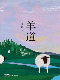 羊道·前山夏牧场