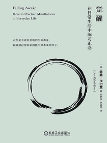 觉醒：在日常生活中练习正念