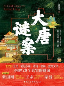 大唐谜案