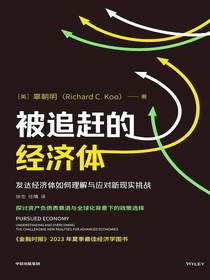 被追赶的经济体