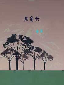 皂角树
