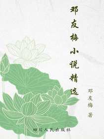 邓友梅小说精选