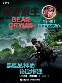 黑暗丛林的钨锭炸弹