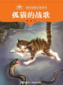 孤猫的战歌（牧铃动物文学系列）