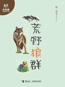荒野狼群