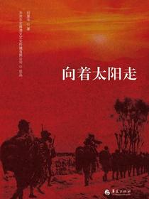 向着太阳走