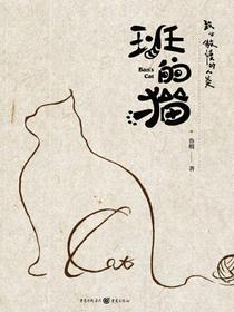 班的猫