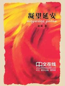 凝望延安