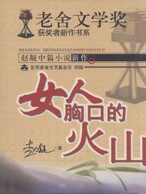 赵凝中篇小说新作