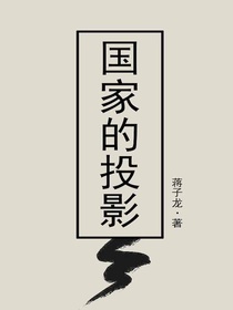 国家的投影