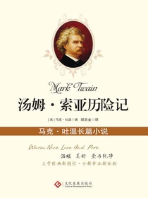 汤姆·索亚历险记