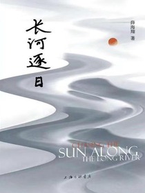 长河逐日