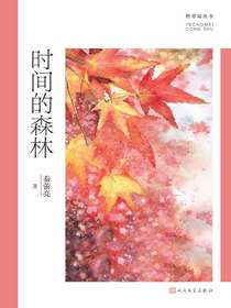 时间的森林